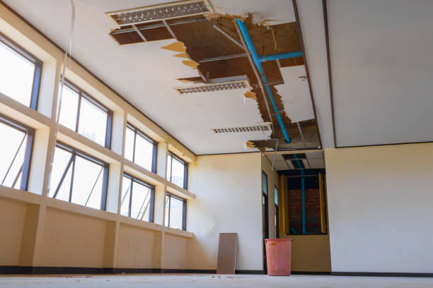 Best Flood damage cleanup  in Beaufort, SC
