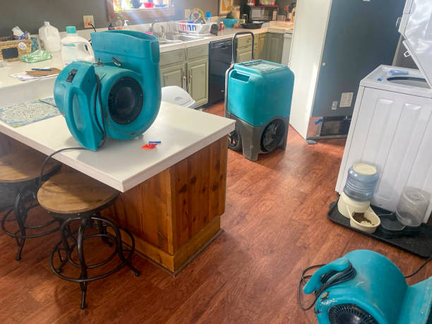 Reliable Beaufort, SC Water damage restoration Solutions