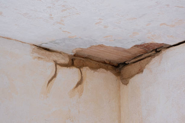 Best Carpet water damage restoration  in Beaufort, SC