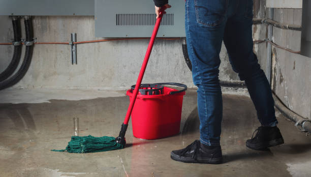 Best Ceiling water damage repair  in Beaufort, SC