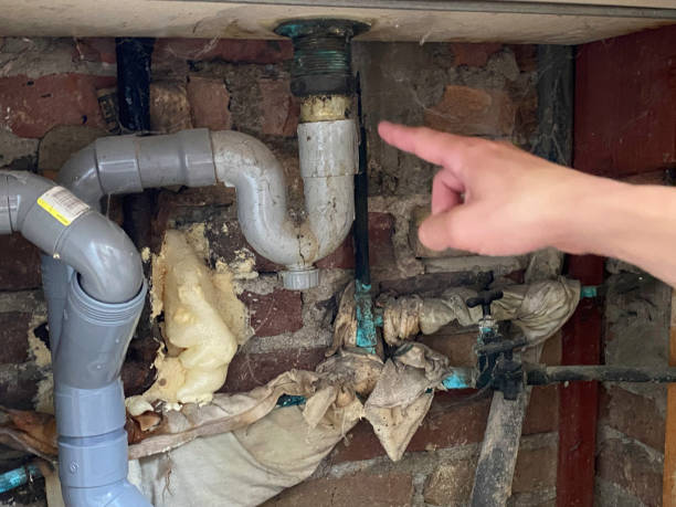 Best Fire Damage Restoration  in Beaufort, SC