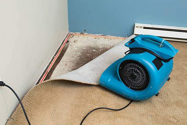Best Emergency water damage restoration  in Beaufort, SC